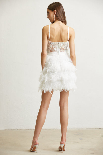 Dazzling Feathered Skirt Gown