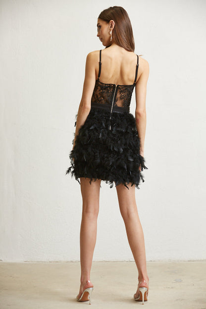 Dazzling Feathered Skirt Gown