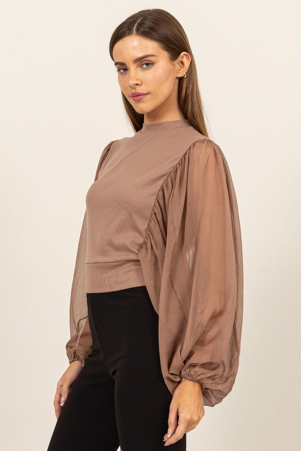 Sheer Sleeve Back Button Blouse